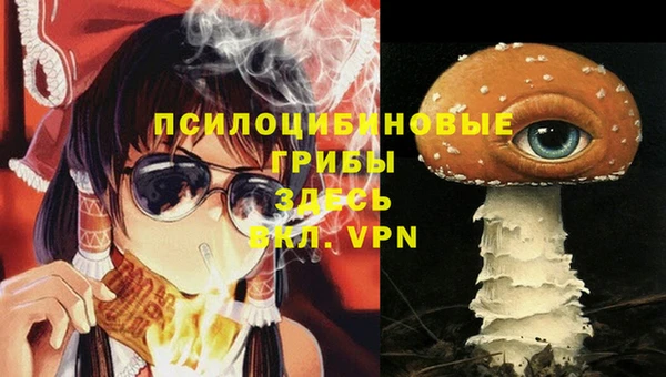 круглые Алексеевка