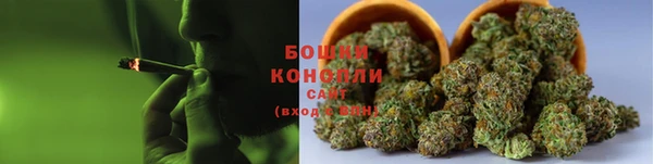 PSILOCYBIN Алексин