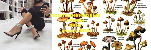 круглые Алексеевка