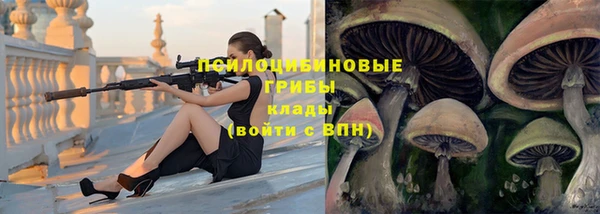 круглые Алексеевка