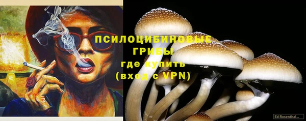 ALPHA PVP Алзамай
